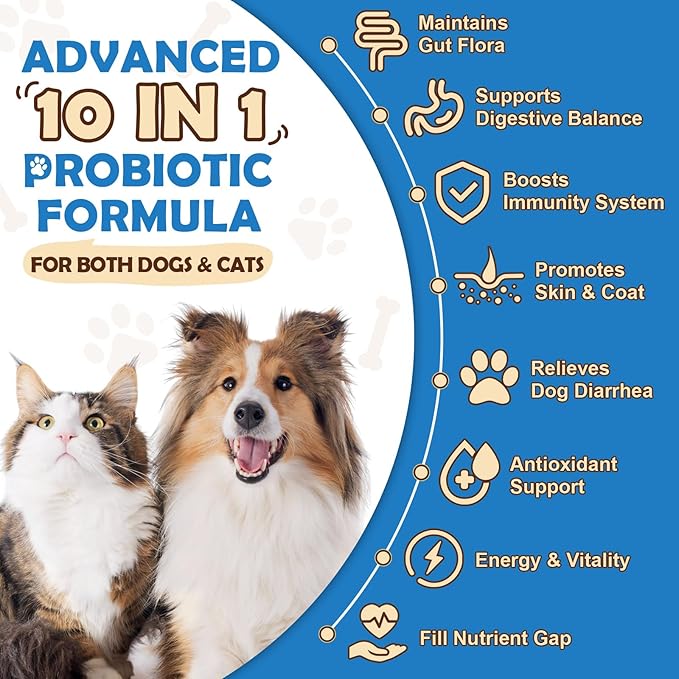 6 Billion CFUs Dog Probiotics Powder with Pumpkin, Prebiotics & Digestive Enzymes for Digestive, Gut & Immune Health, Chicken Flavor, 70 Scoops