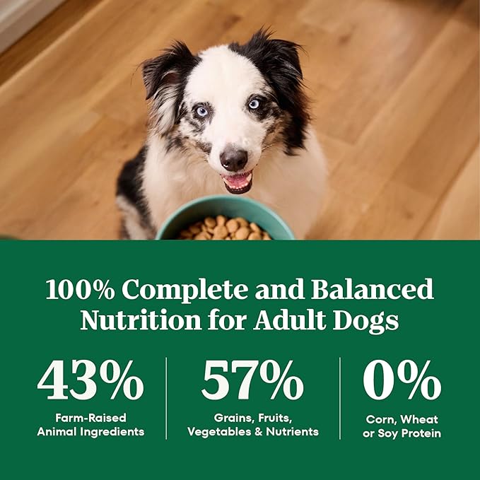 Nutro Natural Choice Dry Dog Food, Adult Dog Food Dry Beef and Brown Rice Recipe, 4.5 lbs.