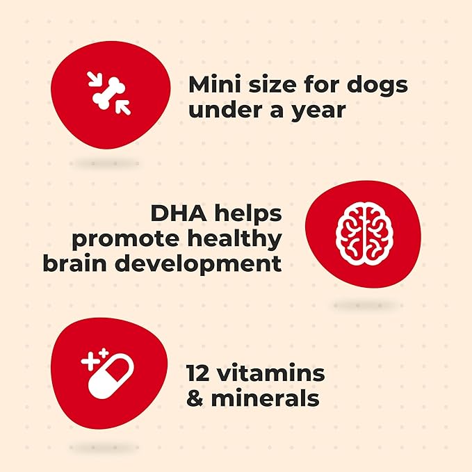 Milk-Bone Original Dog Treats for Puppies, 16 Ounce (Pack of 6), DHA Helps Support Healthy Brain Development