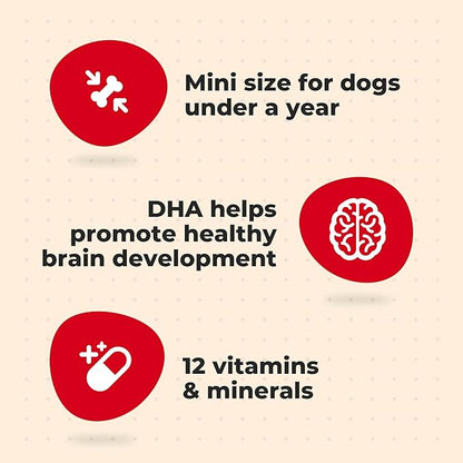 Milk-Bone Original Dog Treats for Puppies, 16 Ounce (Pack of 6), DHA Helps Support Healthy Brain Development