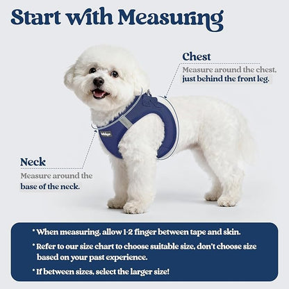 rabbitgoo Dog Harness Small Sized and Leash Set, Step in Soft Light Puppy Vest, Breathable Mesh Pet Harness, Reflective for Safe Outdoor Walking, Navy Blue XXS