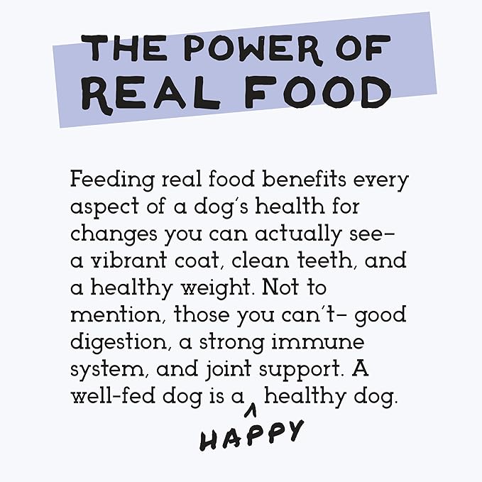 Simple Food Project - Duck Recipe - Freeze Dried Raw Food for Dogs - 48oz