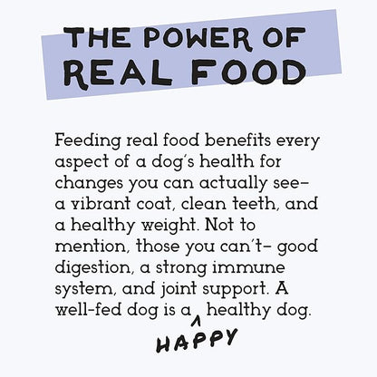 Simple Food Project - Duck Recipe - Freeze Dried Raw Food for Dogs - 96oz