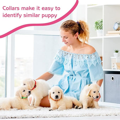 36 Pcs Puppy Collar and Leash Set, Adjustable Colorful Dog Collar and Leash Quick Release Clip Buckle Puppy Collars Whelping Collar for Small Medium Dogs Walking Training