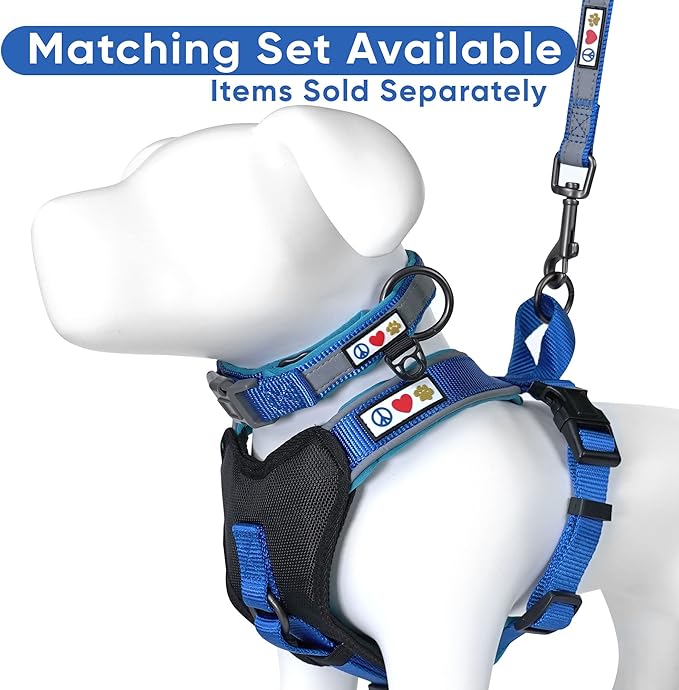 Pawtitas Blue Dog Leash 6 ft Custom ID Lead for Dogs & Puppies Reflective Comfortable Padded Handle Embroidered Name & Phone Number