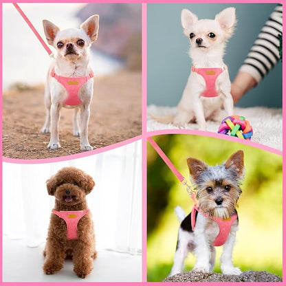 SlowTon Dog Harness Small Sized Dog - Soft XXS Dog Harness and Leash Set No Pull No Chock, Adjustable Lightweight Puppy Harness for XS Small Medium Dogs Cats (Solid Pink, S)
