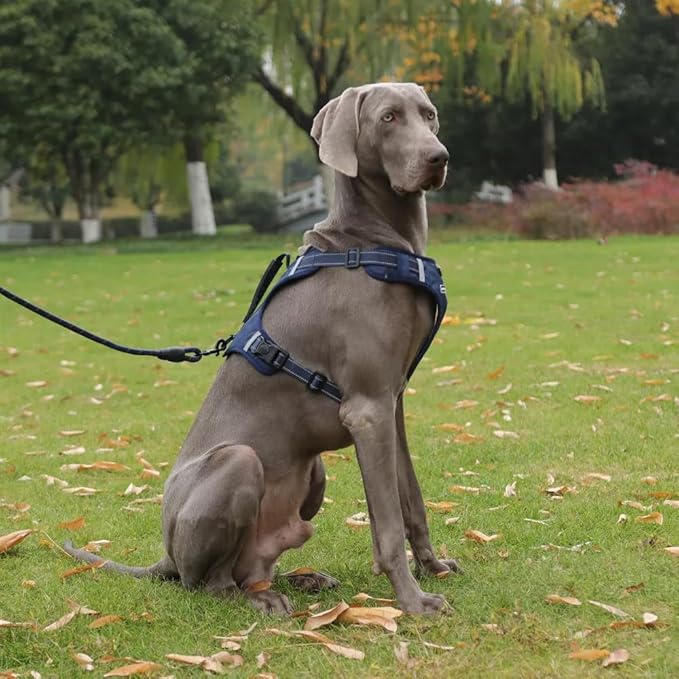 Dog Harness No Pull Adjustable Reflective,for Medium and Large Small Dog with Leash 59.06in (Dark Blue, M)