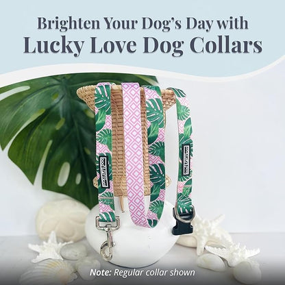Lucky Love Dog Martingale Dog Collar - Adjustable, No-Slip, Comfortable, Durable, Soft Webbing & Stylish Patterned Collar for Male and Female Dogs Ideal for Training & Walking - Laguna, Medium