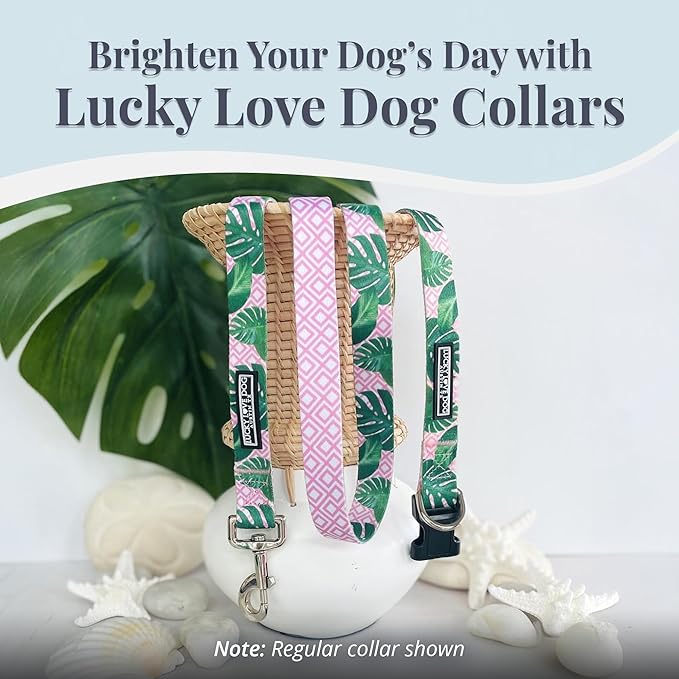 Lucky Love Dog Martingale Dog Collar - Adjustable, No-Slip, Comfortable, Durable, Soft Webbing & Stylish Patterned Collar for Male and Female Dogs Ideal for Training & Walking - Laguna, Small