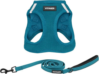Best Pet Supplies Voyager Step-in Air All Weather Mesh Harness and Reflective Dog 5ft Leash Combo with Neoprene Handle, for Small, Medium and Large Breed Puppies - Set (Turquoise), X-Large