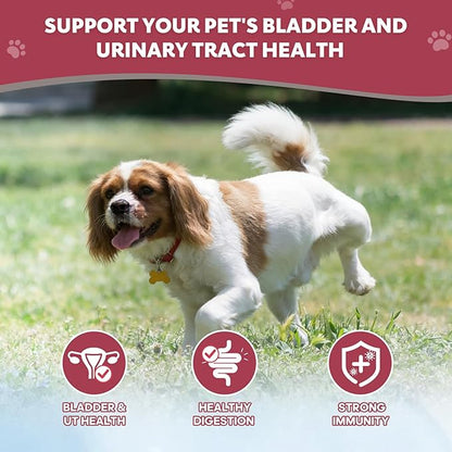 Powdered Cranberry Supplement for Dogs and Cats 120 Scoops UTI Treatment Powder with D-Mannose, Omega-3, Supports Pet Kidney Bladder Health Immune and Gut Support Bladder Control for Dogs