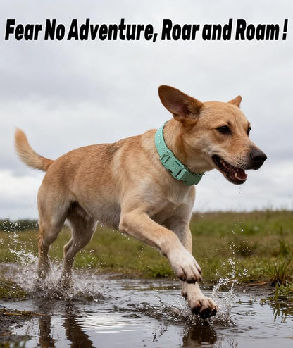 Waterproof Dog Collar, Rubber Adjustable Collars with Quick Release Buckle, Odor-Resistant, Easy to Clean Pet Collars for Small Medium or Large Dogs (Blue, M 11.8-18.5 inch)