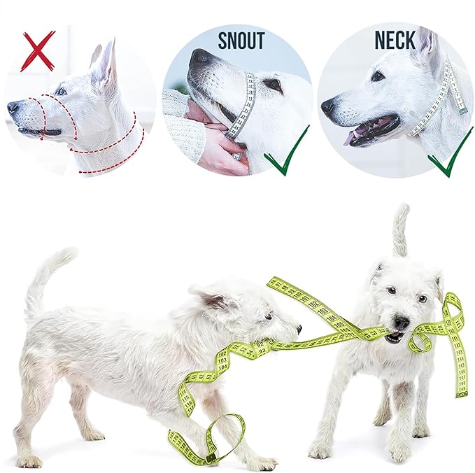 GoodBoy Dog Head Halter with Safety Strap - Stops Heavy Pulling On The Leash - Padded Headcollar for Small Medium and Large Dog Sizes - Head Collar Training Guide Included (Size 2, Pink Nylon)