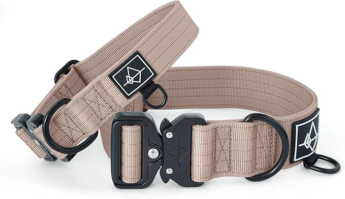 Made to ROAM Premium Dog Collar - Adjustable Heavy Duty Nylon Collar with Quick-Release Metal Buckle (Utah Glow, Classic Size 0)