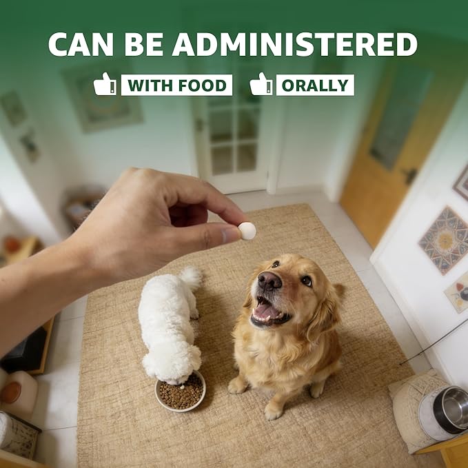 Zenectin Dewormer for Dogs, Digestive Cleanser, Broad Spectrum for All Wormer, Hookworms, Lung Worms, Pin Worms, Round Worms