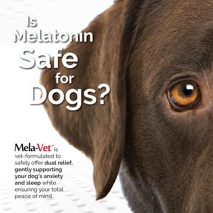 Melatonin Calming Soft Chews for Dogs, Vet-Formulated to Provide Relaxation & Anxiety Relief, Helps Reduce Stress & Tension-Supports Healthier Skin & Coat.120 Tasty Soft Chews.