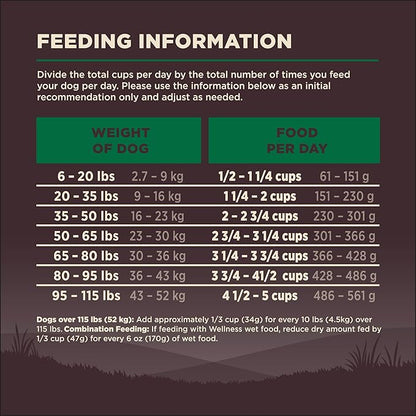 Wellness CORE Dry Dog Food, Grain Free, High Protein, Natural, Lamb Recipe, (22-Pound Bag)