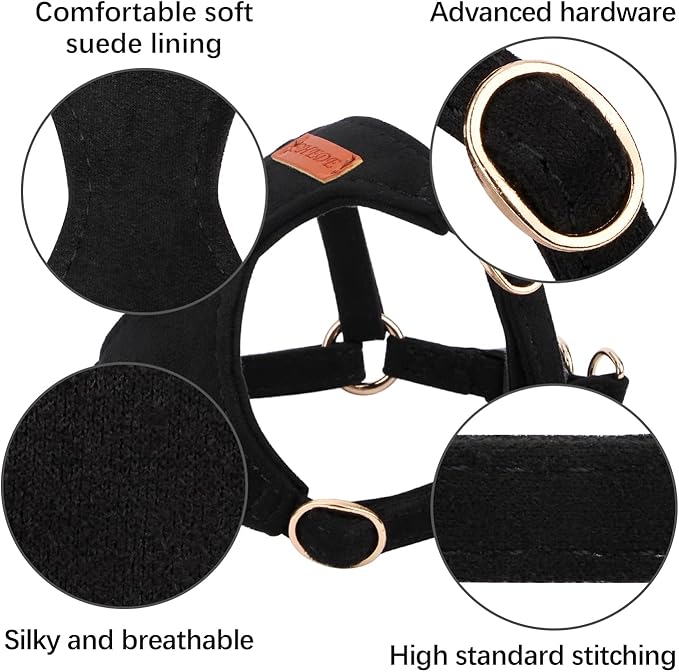 No Pull Dog Harness- Lightweight, Soft, Adjustable Small Harness Collar and Leash Set, Suitable for Cats Puppy Small and Medium-Sized Dog Outdoor Training and Running (Black, M)