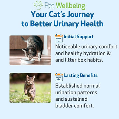 Pet Wellbeing Urinary Gold for Cats - Vet-Formulated Multi-Herb Urinary Tract Support - Feline Bladder Health & Urinary System Wellness - Holistic Cat Supplement - 2 oz (59ml) (4 fl oz (118 ml))