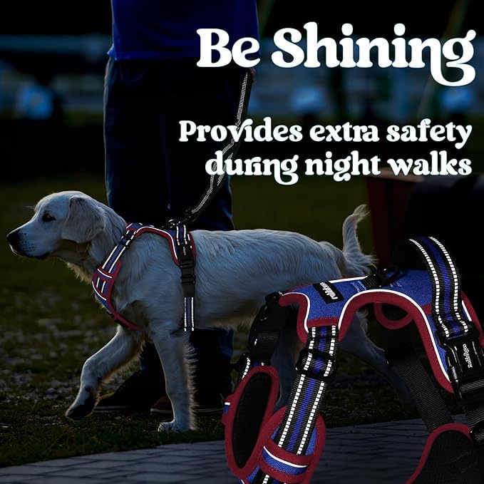 rabbitgoo Dog Harness for Large, No Pull Pet Harness with 3 Buckles, Adjustable Soft Padded Vest with Control Handle, Walking Reflective Pet Vest for Extra Large Dogs, Royal Blue & Red, XL