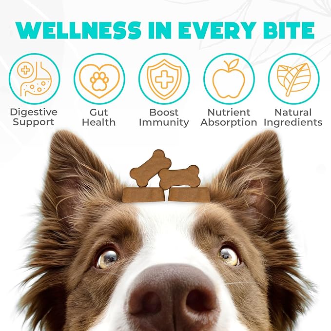Probiotics for Dogs Chews 150PCs - Digestive, Gut Health & Diarrhea Support - Probiotic Chews for Dogs - Vet Approved US Formula with Dog Probiotics, Enzymes & Natural Ingredients - Chicken