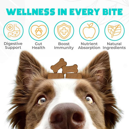 Probiotics for Dogs Chews 150PCs - Digestive, Gut Health & Diarrhea Support - Probiotic Chews for Dogs - Vet Approved US Formula with Dog Probiotics, Enzymes & Natural Ingredients - Pumpkin