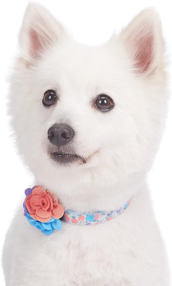 Blueberry Pet Dog Collar for Large Dogs, Lovely Floral Print in Lavender, Pink Girl Dog Collars, Adjustable Large Dog Collar with Detachable Flower, Stylish Dog Collars for Big Dogs