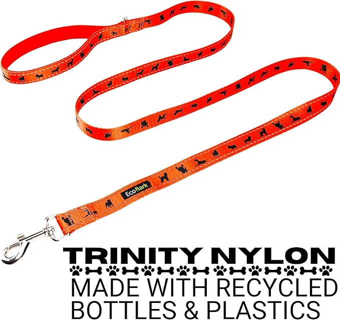 EcoBark Dog Leash - Soft & Reflective Comfort Training Leashes with Padded Handle - Safe, Strong, & Durable for Small, Medium or Large Dogs (Orange)