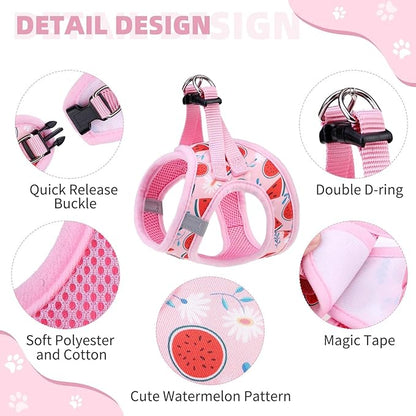 KOOLTAIL Dog Harness and Leash Set for Small Medium Dogs, Step in No Pull Soft Mesh Dog Harness Comfort Padded Pet Vest, Adjustable Reflective Easy Walking Puppy Cats Harness Training, Watermelon S