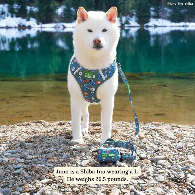 Lucy & Co. x Parks Project Power to the Parks Dog Leash, Durable Matching Dog Lead with Heavy Duty Hardware, Large