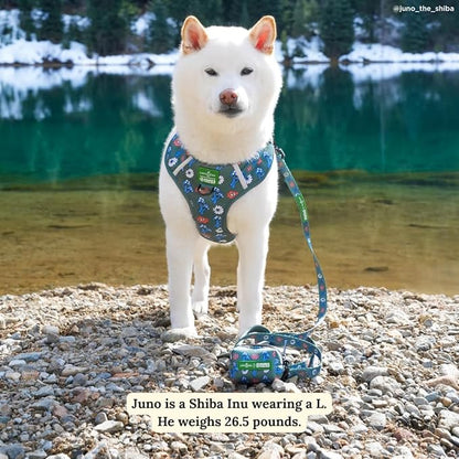 Lucy & Co. x Parks Project Power to the Parks Dog Leash, Durable Matching Dog Lead with Heavy Duty Hardware, Large