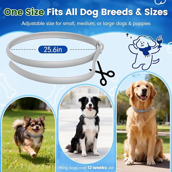 KOOSA Flea and Tick Collar for Dogs, 4 Packs Flea Collar for Dogs with Natural Essential Oils, Waterproof & Adjustable Flea and Tick Prevention Collar for Small Medium Large Dogs & Puppies, Grey