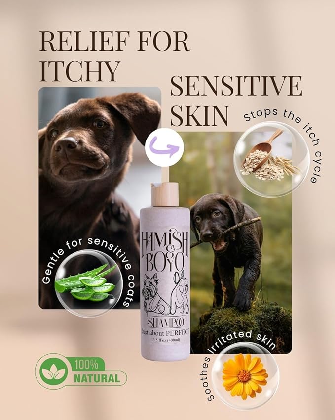 Hamish & Boyo Oatmeal Dog Shampoo for Itchy Skin & Allergies – Anti-Itch Relief with Oatmeal, Aloe & Chamomile – Gentle Formula for Sensitive Dogs – Made in USA – Sulfate & Paraben Free – Family Owned