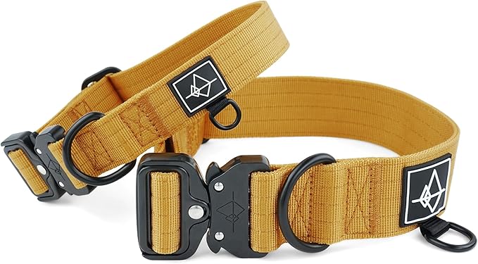 Made to ROAM Premium Dog Collar - Adjustable Heavy Duty Nylon Collar with Quick-Release Metal Buckle (Michigan Autumn, Classic Size 2)