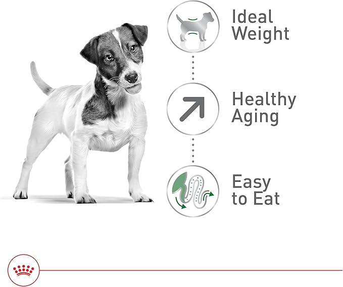 Royal Canin Size Health Nutrition Small Aging 12+ Senior Dry Dog Food, 2.5 lb Bag