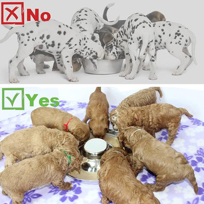 Stainless Steel Puppy Dog Bowls, Pets Puppies Feeding Food and Water Weaning Bowls Dishes Feeder, 10.3 Inch