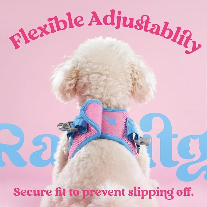 rabbitgoo Dog Harness Small Sized and Leash Set, Step-in Breathable Pet Harness, Soft Walking Reflective Puppy Vest for Small Dogs, Pink & Light Blue, M