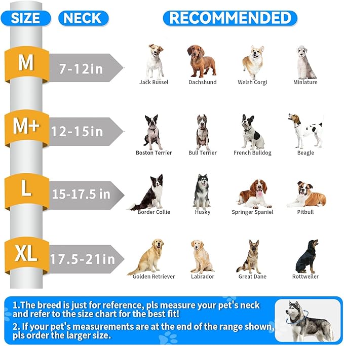 2-in-1 Soft Inflatable Dog Cone Collar Alternative with Enhanced Anti-Licking Guard Shield, Dog Collar After Surgery, Adjustable Recovery Cones for Large Medium Small Dogs and Cats(Blue, M+)