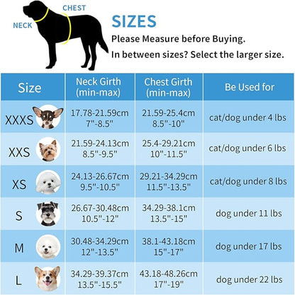 AIITLE XXS Dog Harness & Leash Set - Breathable Reflective No-Choke Small Dog Harness for Teacup Puppies, Indoor/Outdoor Use - Boston Terrier, Maltese, Chihuahua (Turquoise-Pink, XXS)