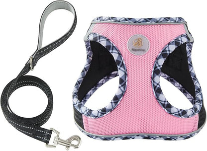 Hipubby Dog Harness Small Sized and Leash Set, No Pull Soft Mesh Puppy Vest, Reflective Breathable Lightweight Pet Harness, Harness for Small Medium Dogs and Cats - Black Pink, XS