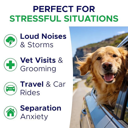 Advanced Calming Chews for Dogs - Hemp Treat + Melatonin + Valerian - Relaxing Bites - Calming Care - Anti-Anxiety & Stress Relief - Made in USA - Calm, Sleep Aid, Storms - 120Ct