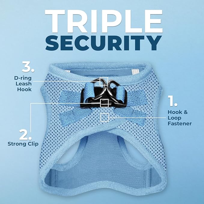 Best Pet Supplies Voyager Step-in Air All Weather Mesh Harness and Reflective Dog 5ft Leash Combo with Neoprene Handle, for Small, Medium and Large Breed Puppies - Set (Baby Blue), XXX-Small