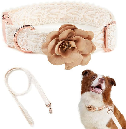 Beige Dog Collar and Leash Set Adjustable Lace Dog Collar for Large Dogs with Flowers & Rose Gold Metal Clasp for Pet Wedding Birthday Outfit,L