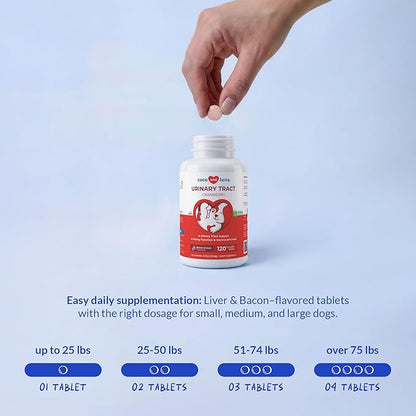 Cranberry Supplement for Dogs – Supports Urinary Tract & Bladder Wellness – Natural Chewable Tablets