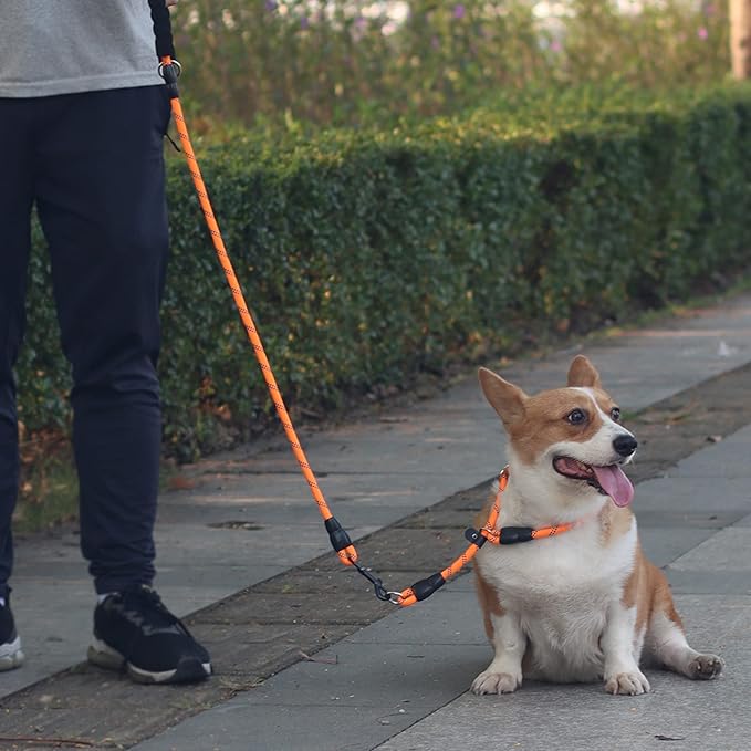 Nylon Dog Training Collar with Slidable Stopper - No Pull, Martingale Collar for Small to Large Dogs, Orange