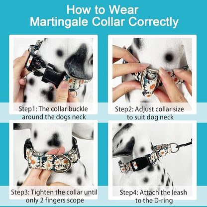 Martingale Collar for Dogs Daisy Dog Collar with Buckle Adjustable Nylon Medium Dog Collars, Daisy