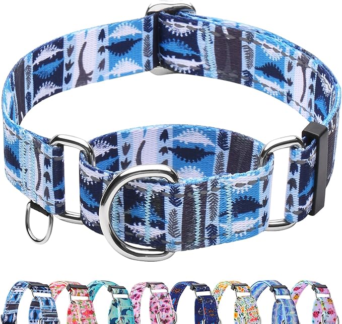 Reflective Martingale Collar for Dogs Nylon Training Collar with No Buckle, No Pull Escape Proof Dog Collar for Large Dogs（Blue Dinosaur，L）