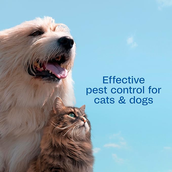 ADAMS Plus Flea & Tick Dog and Cat Spray, Kills Fleas & Ticks, Repels Mosquitoes, Prevents Flea Infestations for up to 2 Months, Flea Treatment for Dogs, Cats, Puppies, & Kittens, 16 Fl oz