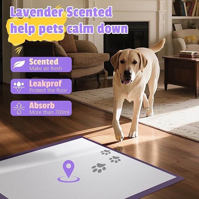 Lavender Scented Super Absorbent & Leak-Proof Puppy Pads, 30"x36" Odor Control Pet Training Dog Pee Pads, Thicken Quick Dry Pee Pads, Potty Training Pads for Dogs Cats