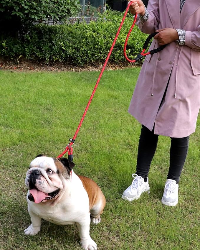 TagME 6ft Slip Dog Lead, No Pull Reflective Training Leash with Padded Handle, Professional Rope P-Leash for Small Medium Large Dogs, Heavy Duty Correction Lead for Walking & Training (Red)